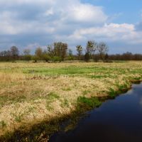 Ruszyły pierwsze wykupy gruntów