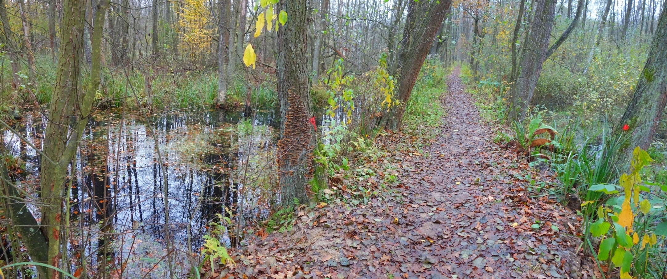 Zakończenie prac na Wilczej Strudze i Żurawiowym