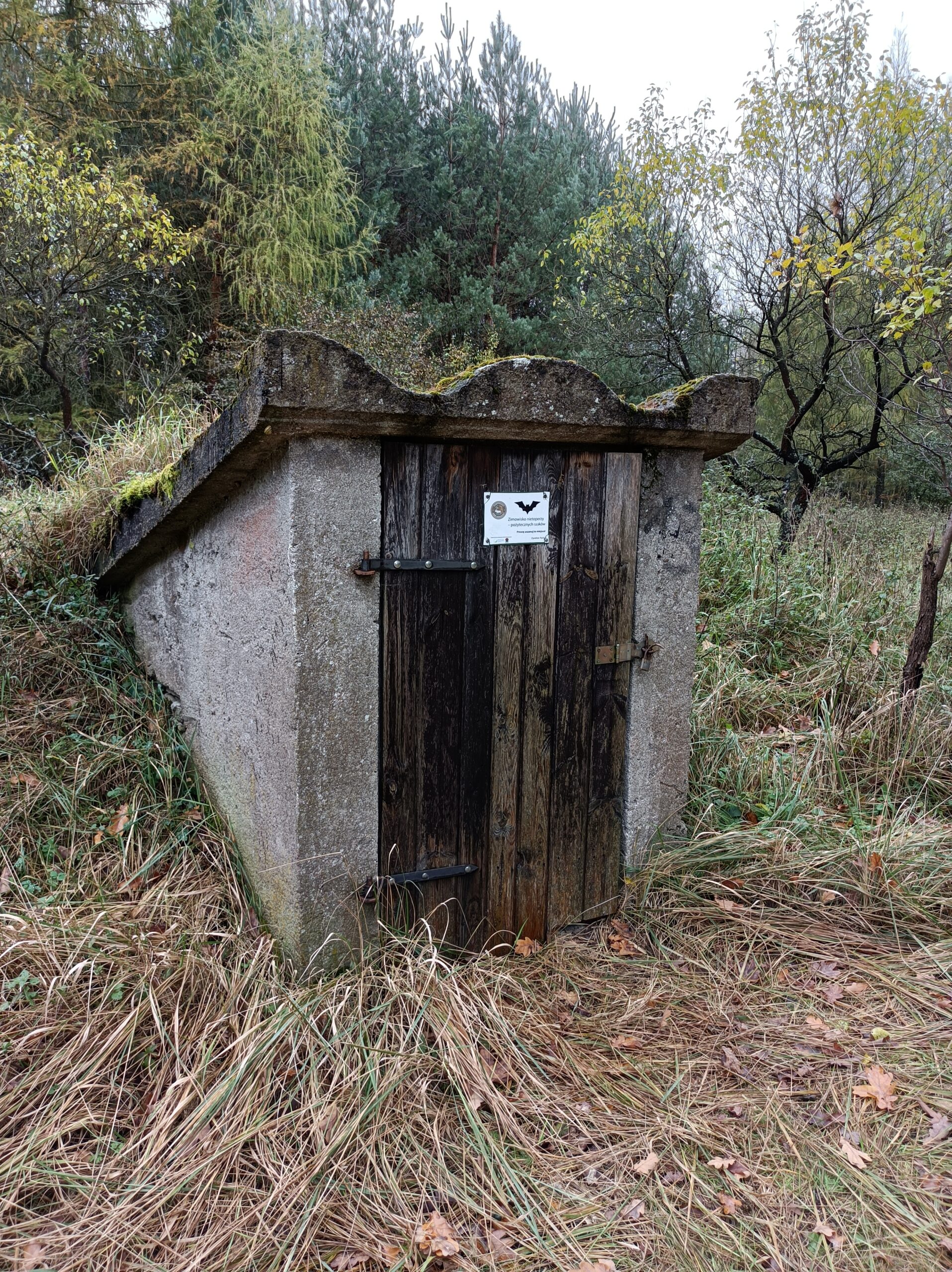 Adaptation of cellars for overwintering amphibians completed