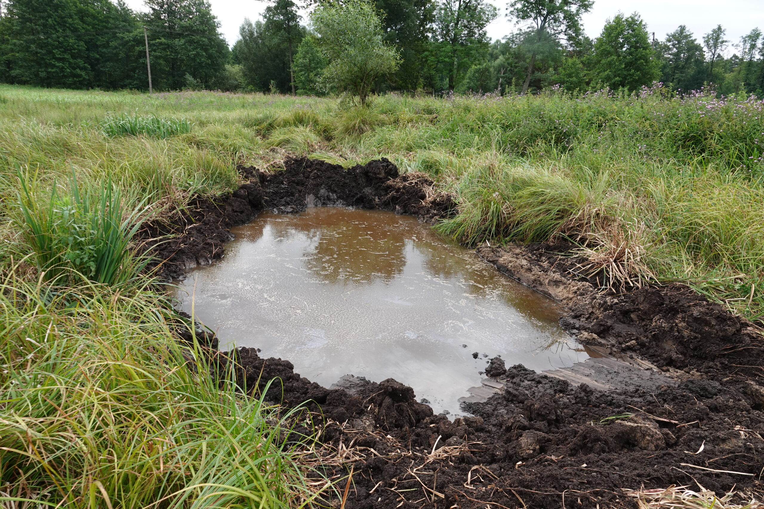 Kolejne kompleksy oczek wodnych w KPN