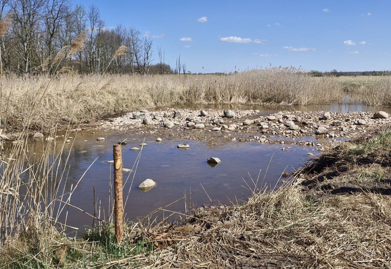 First season of hydrotechnical works completed