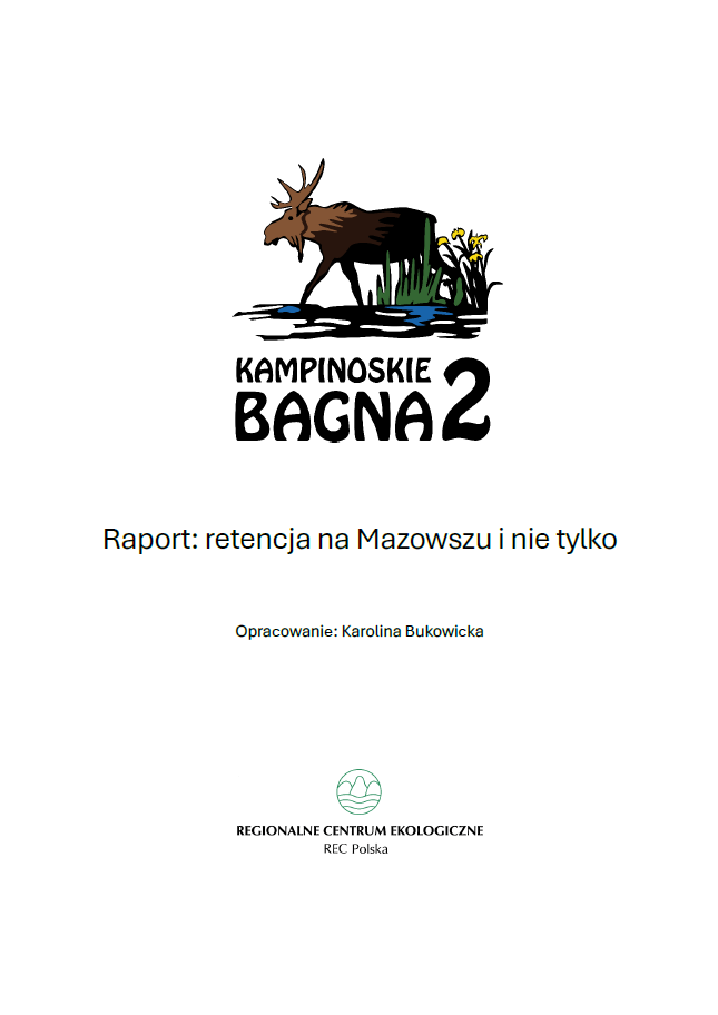 strona tytułowa raportu